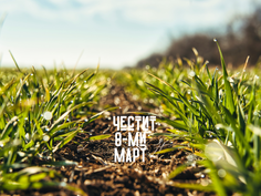 Честит 8-ми МАРТ_236x177_crop_and_resize_to_fit_478b24840a